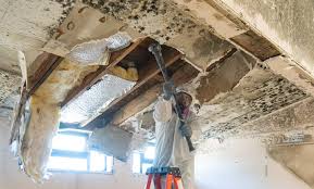 Best Attic Mold Removal  in Liberty, PA